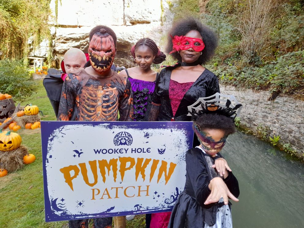 Pumpkin Patch