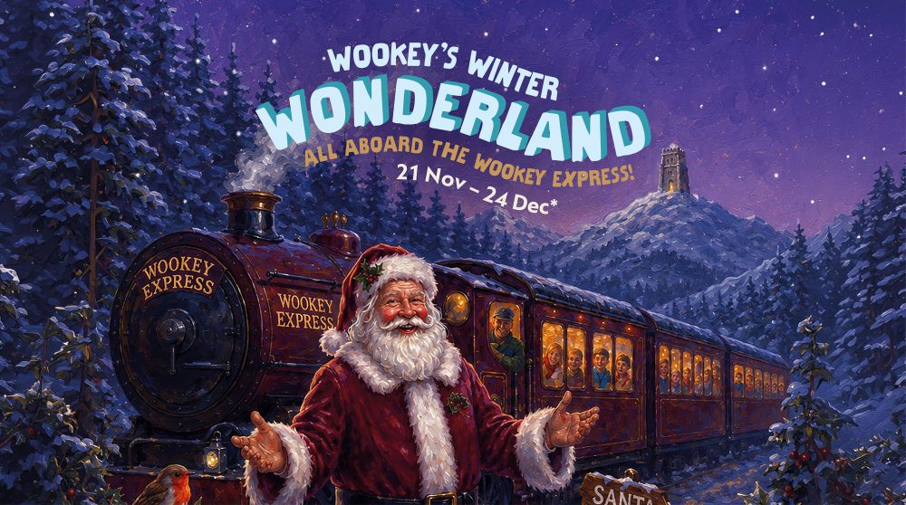 Wookey's Winter Wonderland