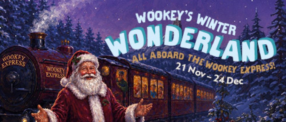 Wookey's Winter Wonderland