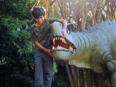 Meet the Dinos!