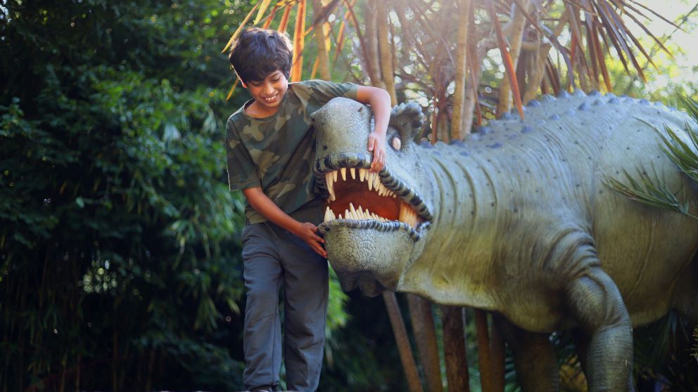 Meet the Dinos!