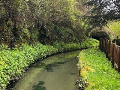 Canal