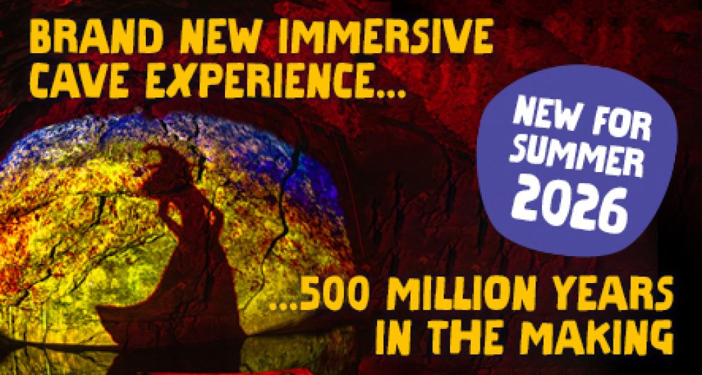 Cave Projections - Wookey Hole Witch