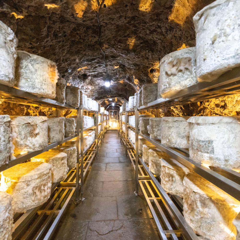 Wookey Hole Cave Age Cheddar cave 2026