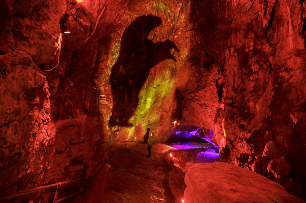 Cave Projections - Cave Bear