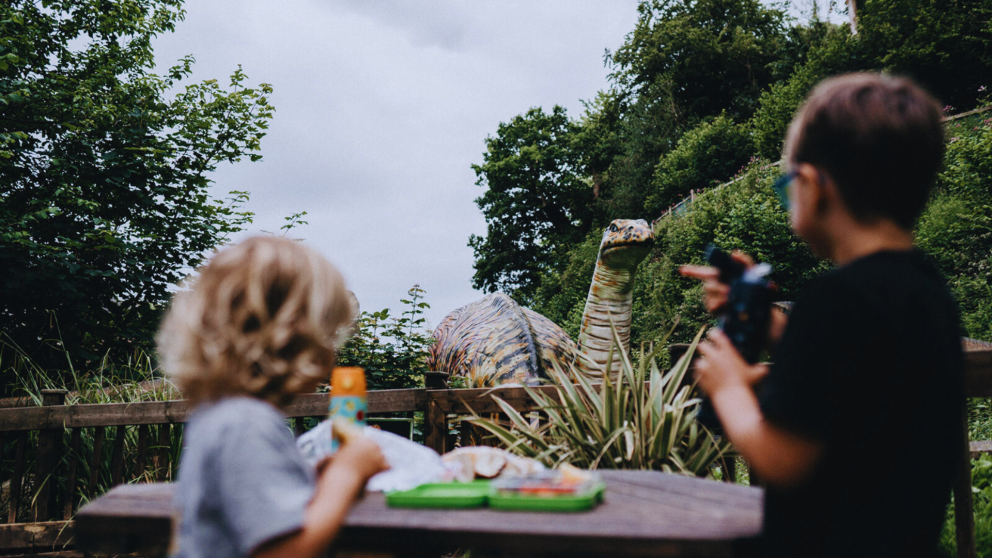 Picnics in the Valley at Wookey Hole