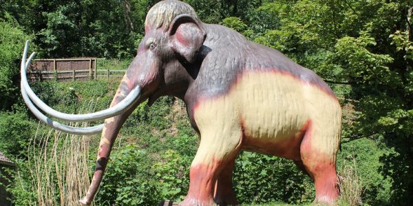 A statue of a woolly mammoth.