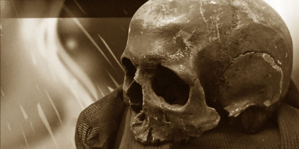 A sepia close up of a human skull.